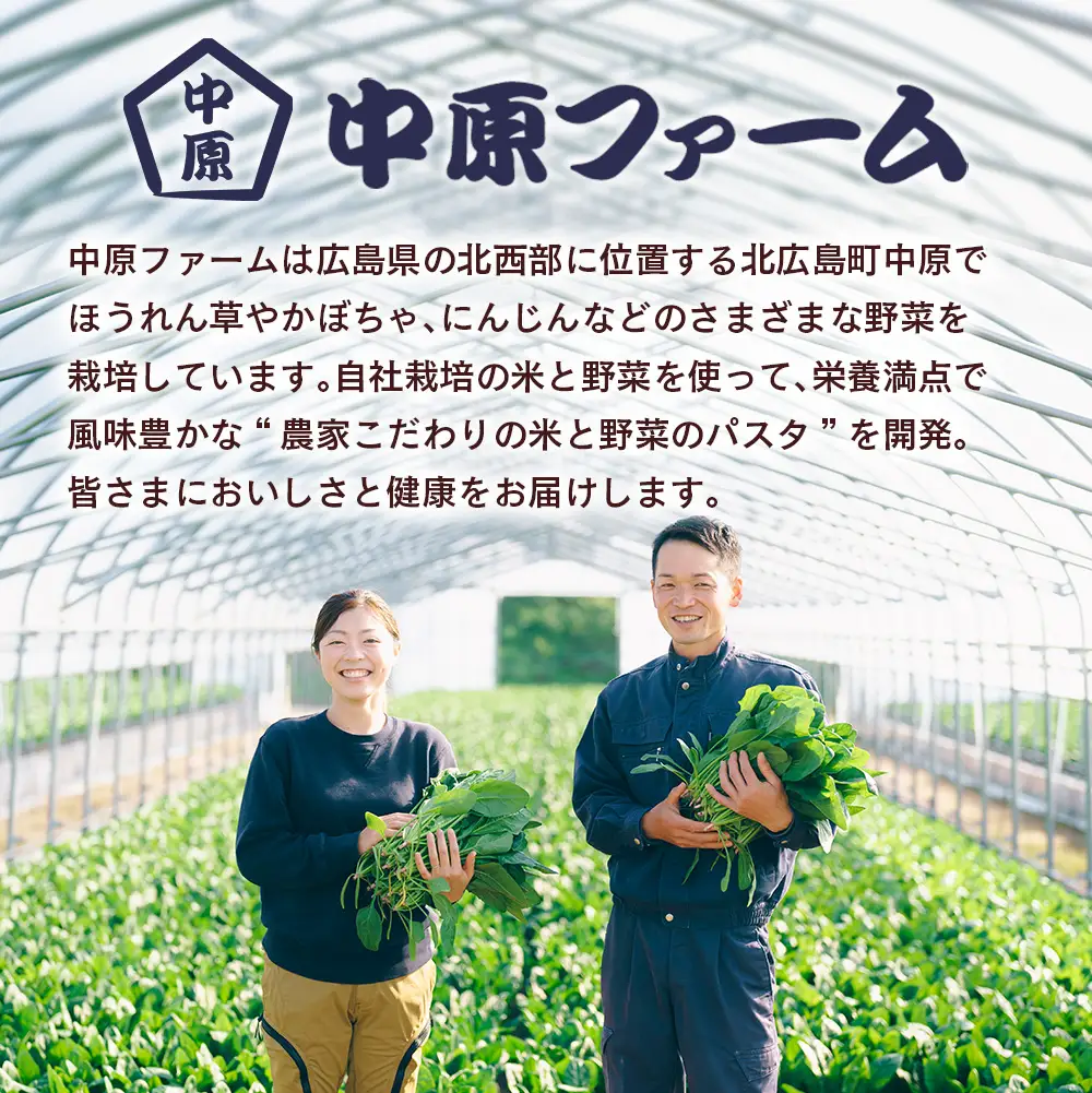 農家のつくるベジタブルパスタ VEGE.PA マカロニ3種セット_NA093_001