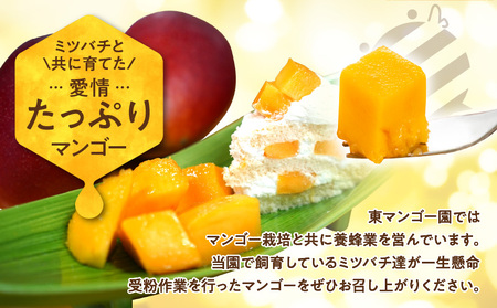 【 2026年 先行予約 】 ≪ ご家庭用 ≫ 東マンゴー園 直送 ！ 完熟 アップルマンゴー 2kg （ 4～6 玉 ） W014-010u 訳あり わけあり 果物 マンゴー