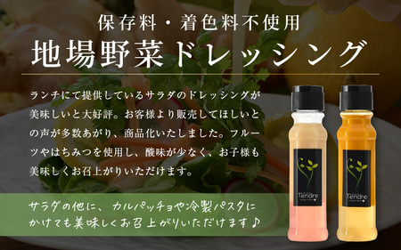 地場野菜ドレッシングとステーキソースセット A  オリジナルドレッシング [A-16901]