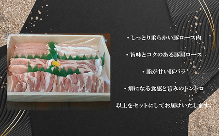 「あいぽーく」焼肉・BBQ4種セット（ロース・肩ロース・バラ・トントロ）計780g 常滑市 豚肉 焼肉用 焼き肉 豚トロ 豚バラ 豚ロース バーベキュー BBQ キャンプ アウトドア 美味しい肉 セット 食べ比べ 石川養豚場 ブランド豚 豚 農場 HACCP 認証 愛知県産豚肉 国産