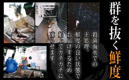 ヤマキ いかのふっくら焼（130g×4袋） 魚貝類 イカ 