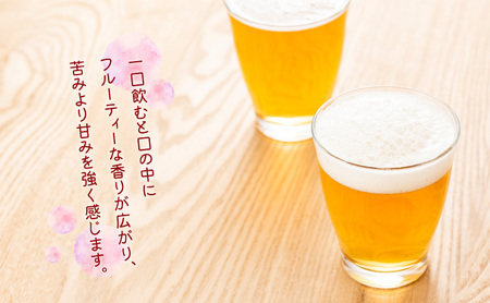 Niigata BEER 24本セット ビール 330ml 24本 セット 缶内発酵 無濾過製法 地ビール 麦酒 お酒 酒 アルコール エールビール 日本初 ビン内発酵 ビン内熟成 新潟 新潟県 