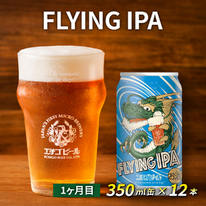 【定期便2ヶ月】エチゴビール【1ヶ月目】FLYING IPA350ml缶×12本【2ヶ月目】のんびりふんわり白ビール350ml缶×12本 地ビール ビール 全国第一号 クラフトビール 350ml 缶 12本 酒 お取り寄せ 人気 新潟 定期便 2回 お楽しみ 