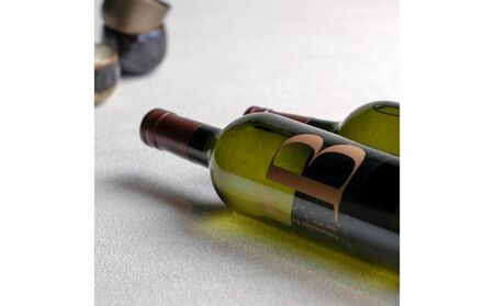 Bitオリジナル日本酒　ARATA  純米大吟醸40％山田錦2021 お酒 純米大吟醸酒 峰乃白梅酒造 最高品質の山田錦 米の旨味 綺麗な甘み 