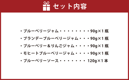 きび糖 仕込みの ブルーベリー ジャム 5種 セット 各90g×1瓶 ブルーベリージャム りんごジャム 瓶詰め 瓶