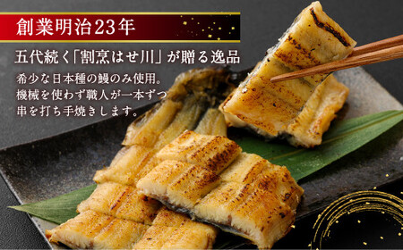 鹿児島産 鰻 蒲焼き 白焼き セット 計2尾 老舗130年の味 食べ比べ うなぎ