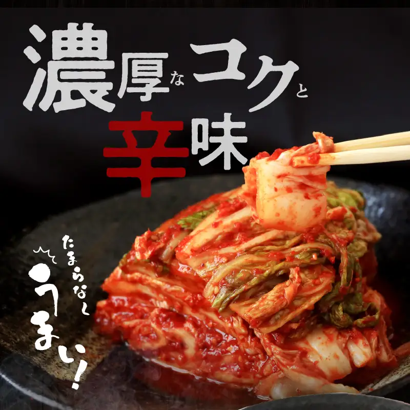 定期便 白菜キムチ 1kg × 3回 大好評 韓国