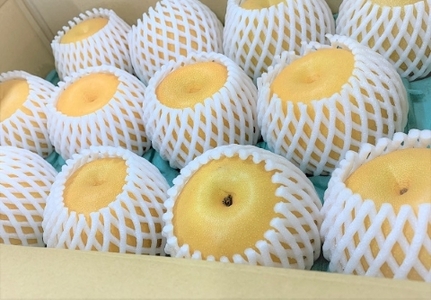 【産直もぎたて】里山のもぎたて梨　計3kg