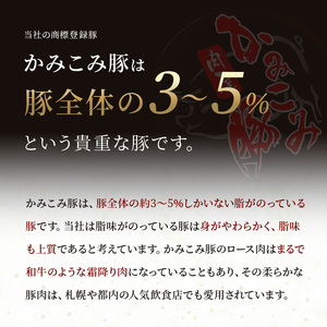 味付きかみこみ豚3種セット 豚丼 80g×5枚 味噌漬け 80g×5枚 ポークチャップ 200g×2枚 計1.2kg 豚肉 豚丼 北海道 ご当地グルメ 味噌漬け 味噌 ポークチャップ 真空 豚 ポーク ロース F5F-0264