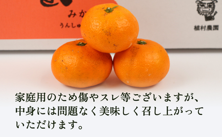 温州みかん南柑20号9kg家庭用植村農園温州みかん温州みかん温州みかん温州みかんB010-153004