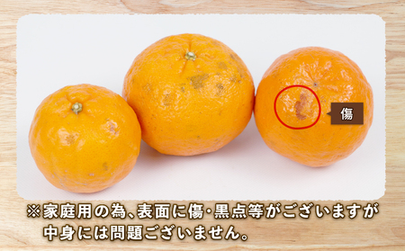 ポンカン 9kg みかん 家庭用 植村農園 ﾎﾟﾝｶﾝ ﾎﾟﾝｶﾝ ﾎﾟﾝｶﾝ B010-153005