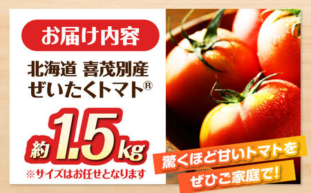 喜茂別産 ぜいたくトマト 約1.5kg [AJAJ004] トマト 夏