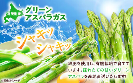 グリーンアスパラガス 1.5kg アスパラ AJAM001