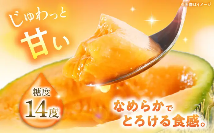 【先行予約】キングルビー 4-5玉 / メロン 果物 お取り寄せ 北海道  [AJAM005]