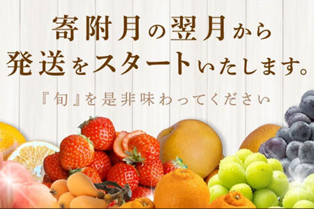 月の旬果プレミアム定期便♪(12ヶ月連続)