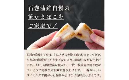 石巻 蒲鉾 全種15個 ささかまとあげかまセット 笹かま かまぼこ 練り物 揚げかまぼこ 笹かまぼこ 宮城県 石巻市