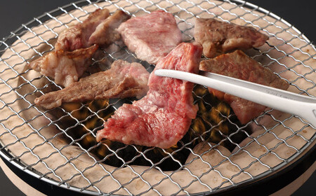 【6ヶ月定期便】熊本県産 黒毛和牛 焼肉 カルビ 切り落とし 合計3,600g 600g 300g×2パック 和牛 牛肉 肉 バーベキュー 炒め物 国産 九州産