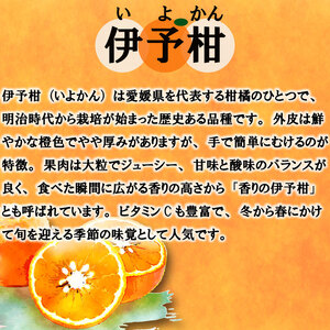 【2027年1月中旬頃から順次発送】 訳あり 伊予柑 5キロ   |  みかん ミカン 蜜柑 柑橘 いよかん 愛媛県産 甘い 愛媛みかん フレッシュ おいしい フルーツ 規格外 わけあり 産地直送 果物 数量限定 国産 くだもの 愛媛県 松山市 【KR005_x】