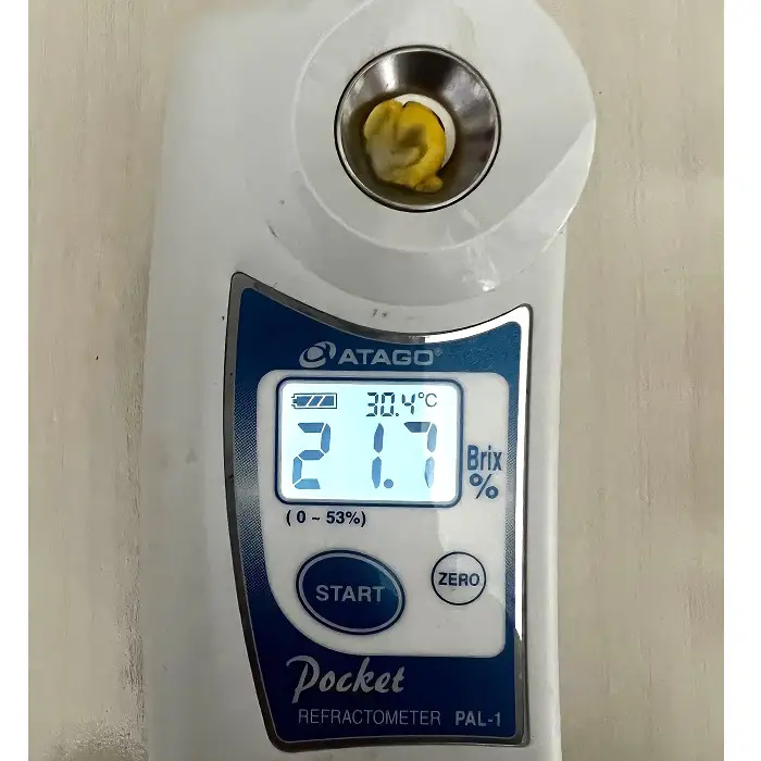 ［坂東市産］朝採り直送とうもろこし スーパースィート「おおもの」2L 10本～12本 5kg No.265
