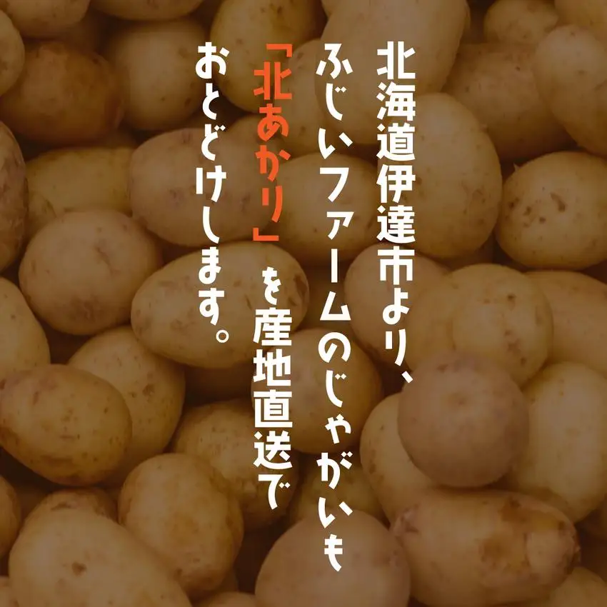 ＜先行予約＞北海道産 じゃがいも(北あかり) 約5kg【55250842】