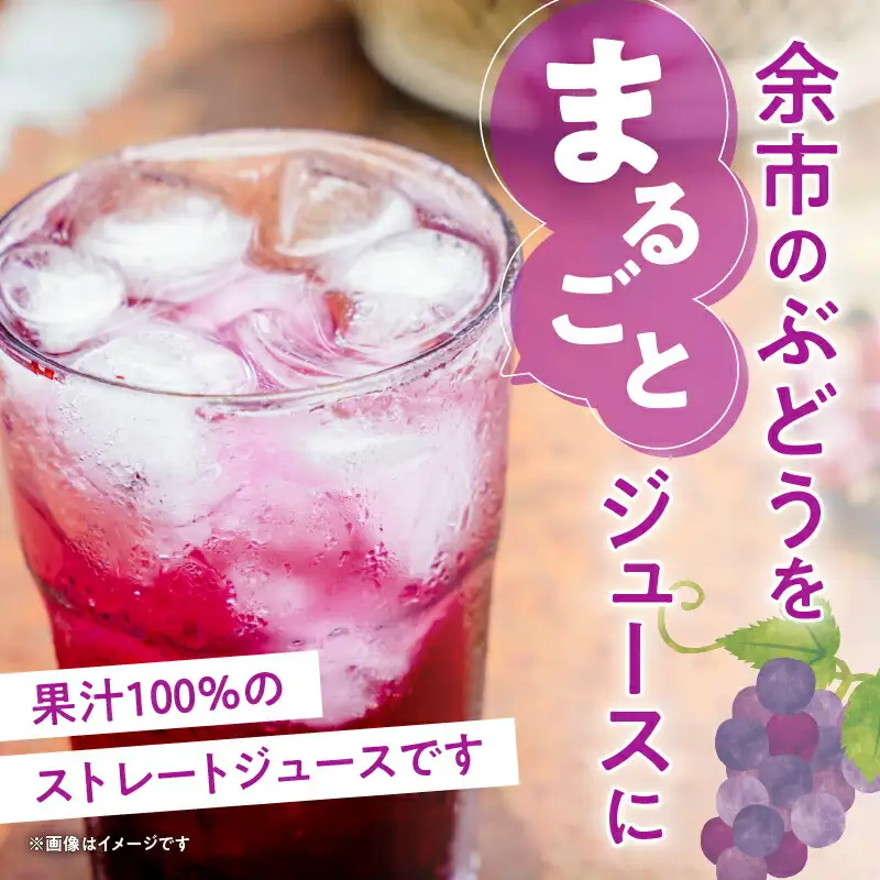 風味豊かな余市産ぶどう100％ジュース500ｍｌ×12本セット_Y018-0062