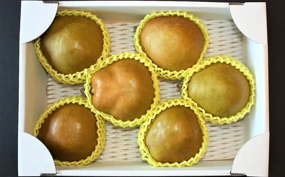 西洋梨（ゴールドラ・フランス）３ｋｇ　0011-2607