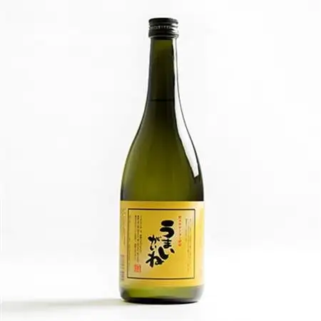 うまいがいね　720ml×1本_酒・アルコール  焼酎 _【1206024】
