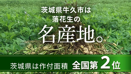 牛久市産 素煎り 落花生 （ むき実 ）180g × 5袋 セット 計900g