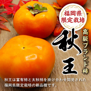 【2026年収穫分 先行予約!】福岡県ブランド　高級柿【秋王】3.5kg【JAほたるの里】_HA1352 | 柿 種なし