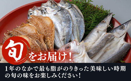 【全12回定期便】対馬 一汐干し お魚 セット 5種10枚 詰め合わせ アジ 穴子 カマス 連子鯛 干物 海産物 [WAI035]