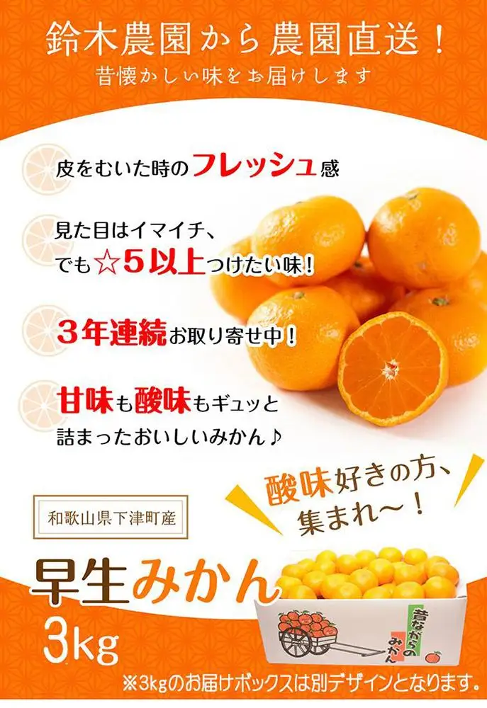 早生みかん 3kg 小粒サイズ 鈴木農園みかん
