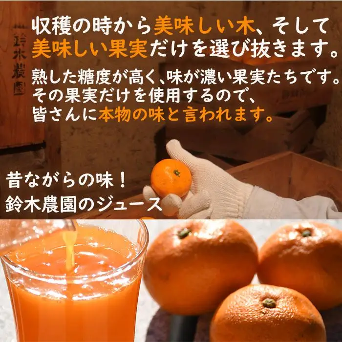 みかんジュース 濃厚 みかんジュース  500ml×３本