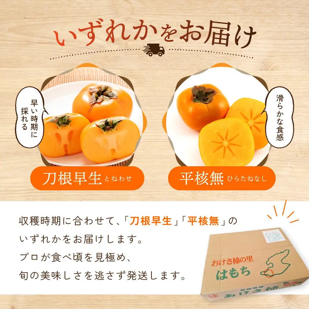 柿 おけさ柿 赤秀 Lサイズ 18玉 種なし
