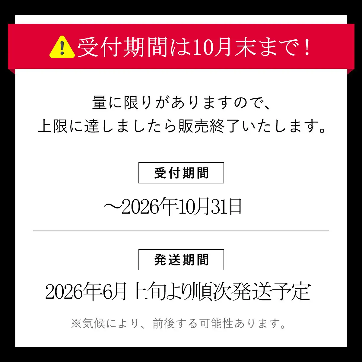 ＜先行予約！2026年6月上旬以降順次発送予定＞万願寺とうがらし(2kg) 京野菜 野菜 旬の野菜 万願寺とうがらし 伝統野菜 京都 【fc-DB008】【夜久野 清雫】