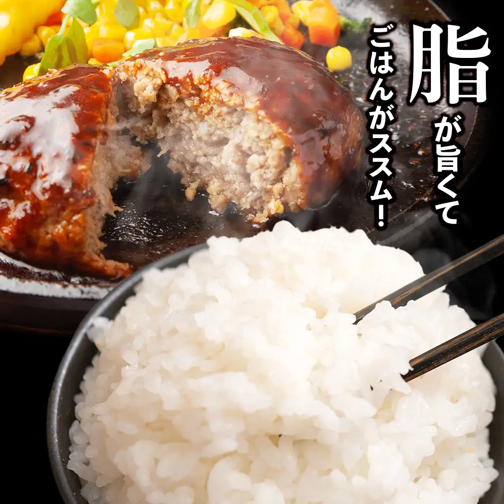 【定期便6ヶ月】国産100％白老合挽ハンバーグ150g×24 BV029