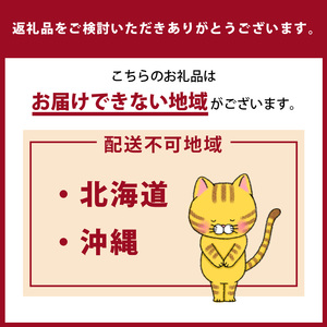 クラフト武将　人気６武将セット ダンボール 段ボール 工作 武将 夏休み はさみ カッター のり 不要 安全 子供 遊び プレゼント 小学生 大人 親子で 立体的 キット 工作キット 簡単 組み立て インテリア 日本製 愛知県 常滑市
