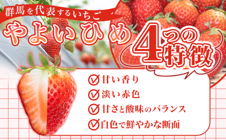群馬県やよいひめ（いちご）約800g【3年連続金賞受賞！】※2026年12月