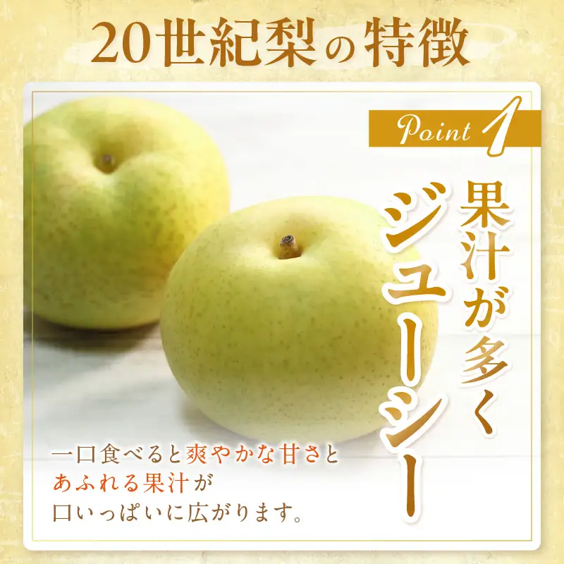 【先行予約】京丹後産 20世紀梨 5kg | 梨（2026年9月上旬～発送）