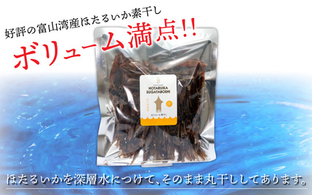 ほたるいか 素干し 100尾 ケンミンショー