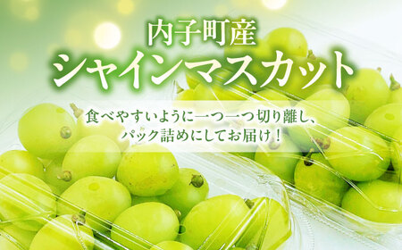 【先行予約】シャインマスカット 350g×2パック パック詰め BKAY006