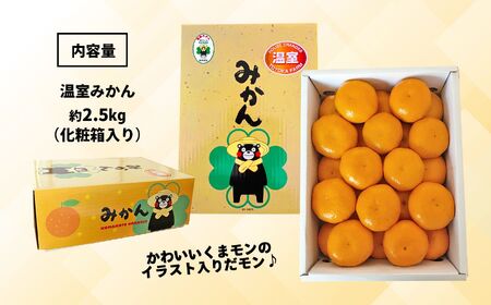 【 贈答用 】 温室みかん 『 豊華の夢ロード』 約 2.5kg 化粧箱入り