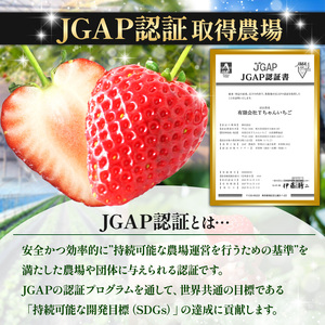 【2027年 先行予約】ぎっしり とちあいか 約500g 大粒(サイズ不揃い)