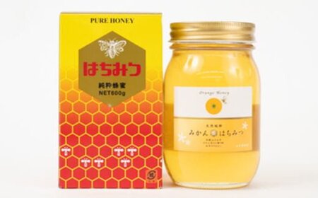 ［純粋国産］和歌山県産みかんはちみつ600g【2026年7月中旬～2026年7月下旬頃に発送】［TM55］【TM92073-tec508B】