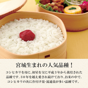 【令和7年産】宮城県産 ひとめぼれ 合計10kg (5kg×2袋) お米 おこめ 米 コメ 白米 ご飯 ごはん おにぎり お弁当【株式会社パールライス宮城】ta203