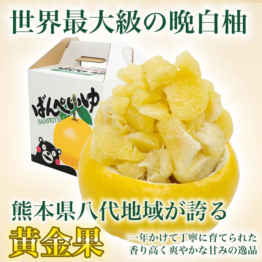 【先行予約】 晩白柚 ばんぺいゆ 3Lサイズ 2玉 約5kg 晩白柚 柑橘 【2026年12月上旬より順次発送】