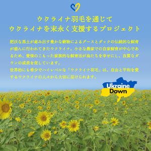 【甲州羽毛2枚合わせふとん】ウクライナホワイトマザーグース 95%抗菌の糸 ホワイト（ダブル) ふとんカバー付 羽毛布団 寝具 回収キット付き 布団