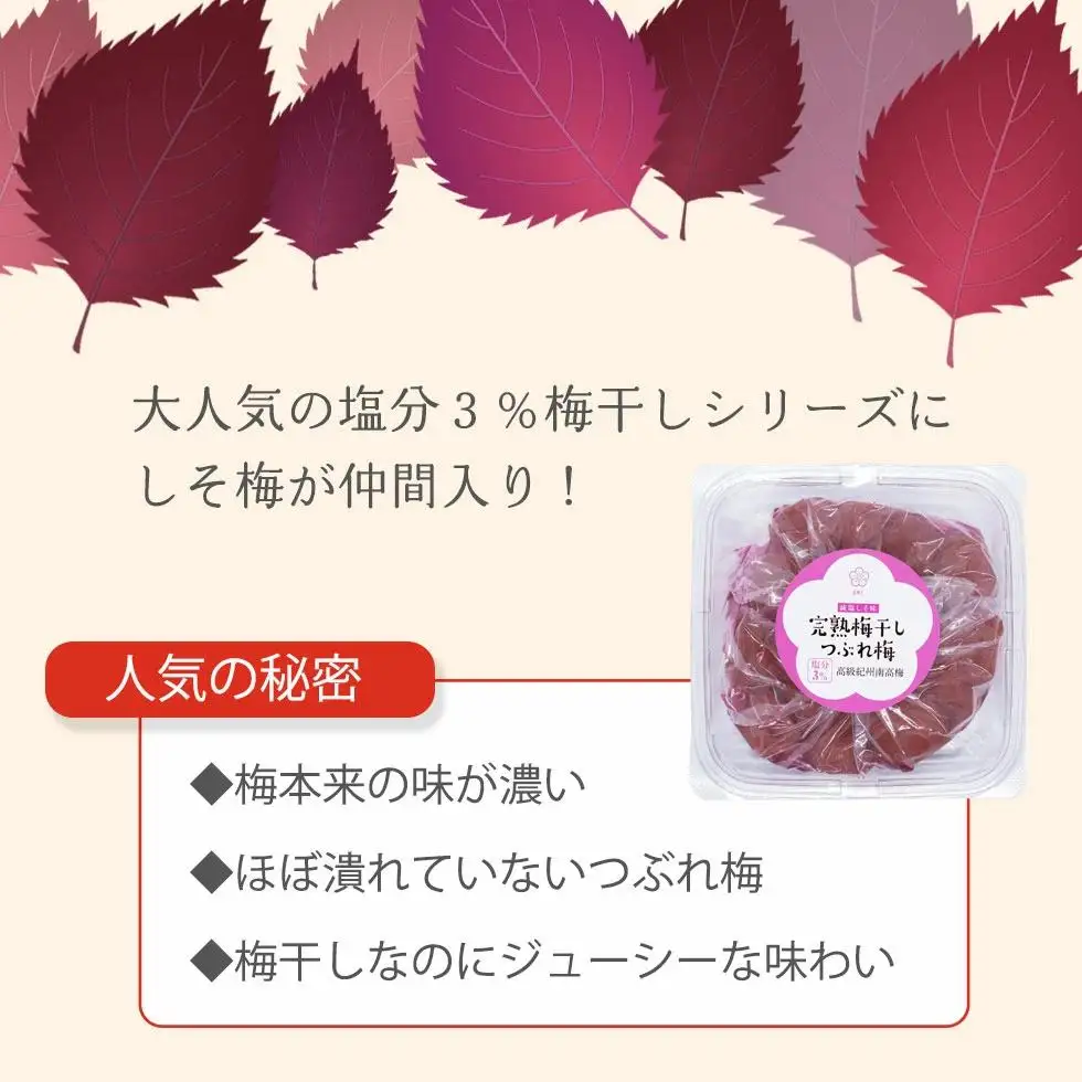 紀州南高梅 完熟 梅干し つぶれ梅 しそ梅 800g 塩分3％ ふるさと納税