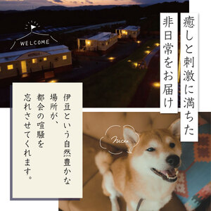 グランピング 利用券 お食事券 グランピング 宿泊補助券 60,000円分 【 中伊豆EAST WINDS VILLAGE 】グランピング 伊豆市 グランピング 天然温泉 補助券 グランピング 20-001