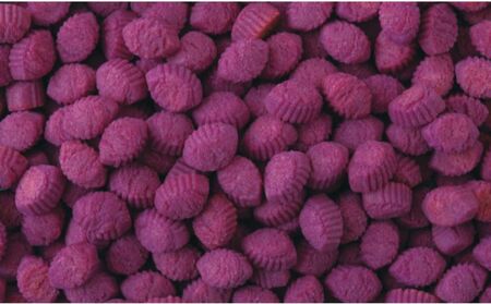 【御菓子御殿】愛犬のおやつに！犬用紅いもタルト風ビスケ（30g×8袋）トートバッグ付