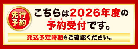 北海道産 とうもろこし おひさまコーン 10本 糖度20度以上 2026年予約